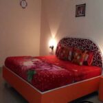 Paradise Luxury Homestay room