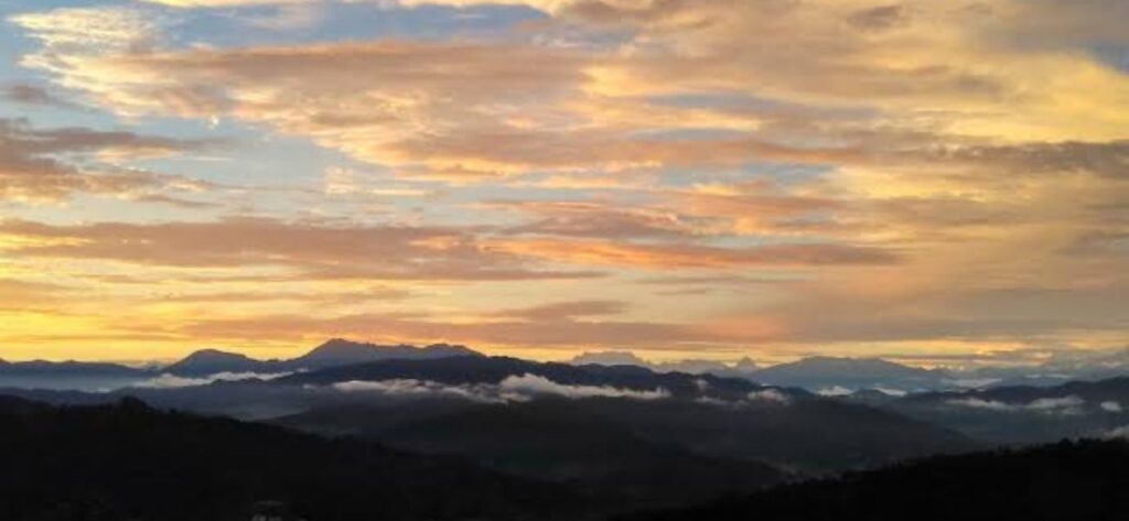 Bright End Corner, Almora