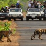 Rajaji National Park, Rishikesh