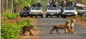 Rajaji National Park – Rishikesh