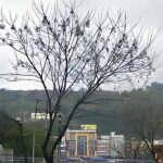 Swami Vivekanand Park, Haridwar