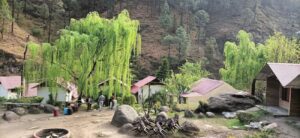 Rajgarh (Peach Valley)