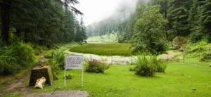 Bangana Lathian Piplu