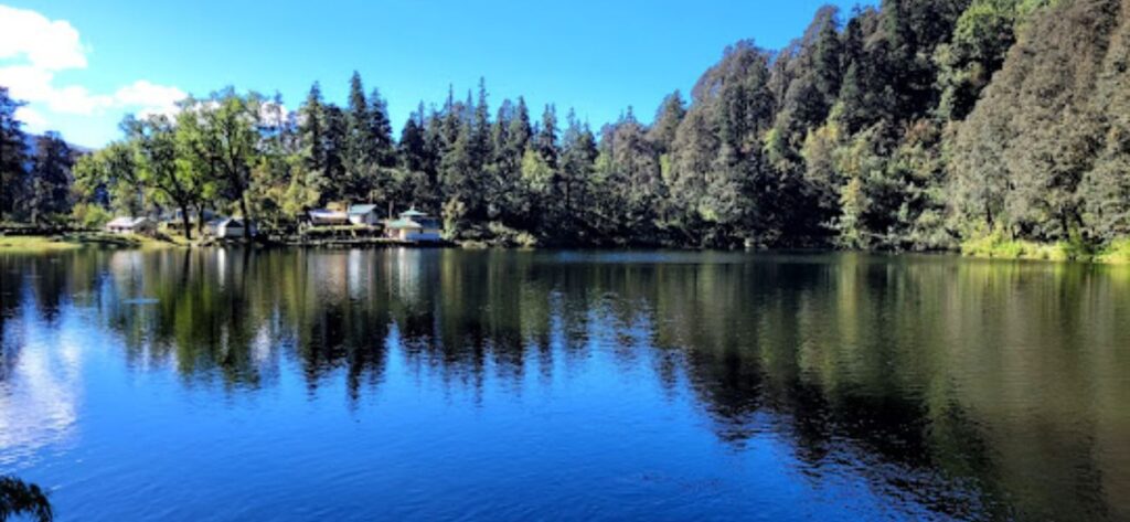 Feel the Warmth of a True Home 3