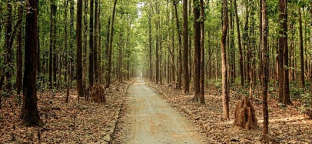 Feel the Warmth of a True Home 2