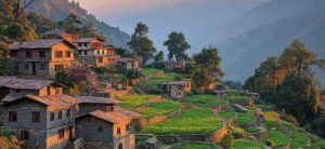 Martola – Almora