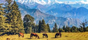 Munsiyari (nearby excursion for Himalayan views) – Bageshwar