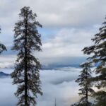 Deoban – Chakrata