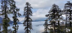 Deoban – Chakrata
