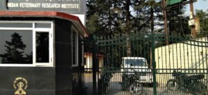 Indian Veterinary Research Institute (IVRI) – Mukteshwar
