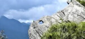 Chauli Ki Jali – Mukteshwar