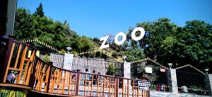 Nainital Zoo (Pt. G.B. Pant High Altitude Zoo) – Nainital