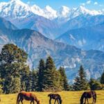 Munsiyari – Pithoragarh