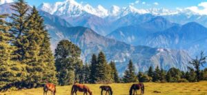 Munsiyari – Pithoragarh