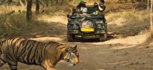 Jhirna Zone (Corbett) – Ramnagar